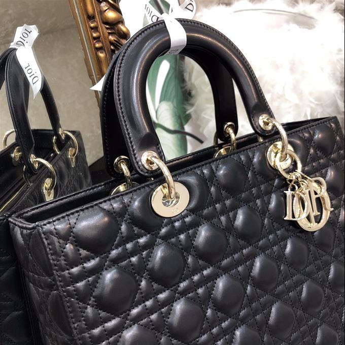 2025228Y880P205910751