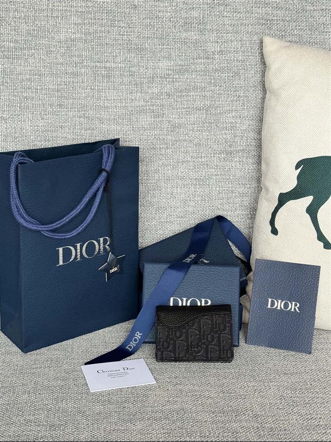 2025228Y240P203641508