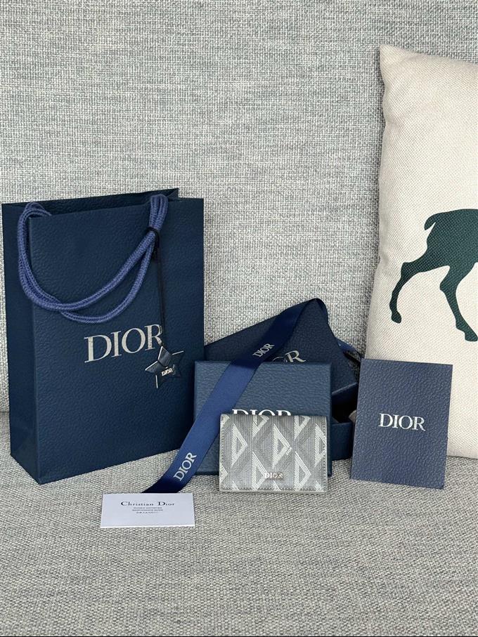 2025228Y240P203641933