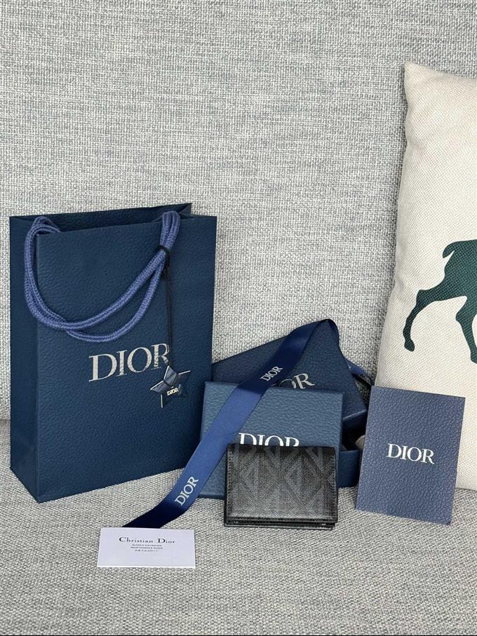 2025228Y240P203642228