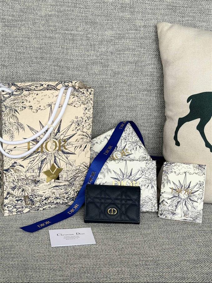 2025228Y240P20375242