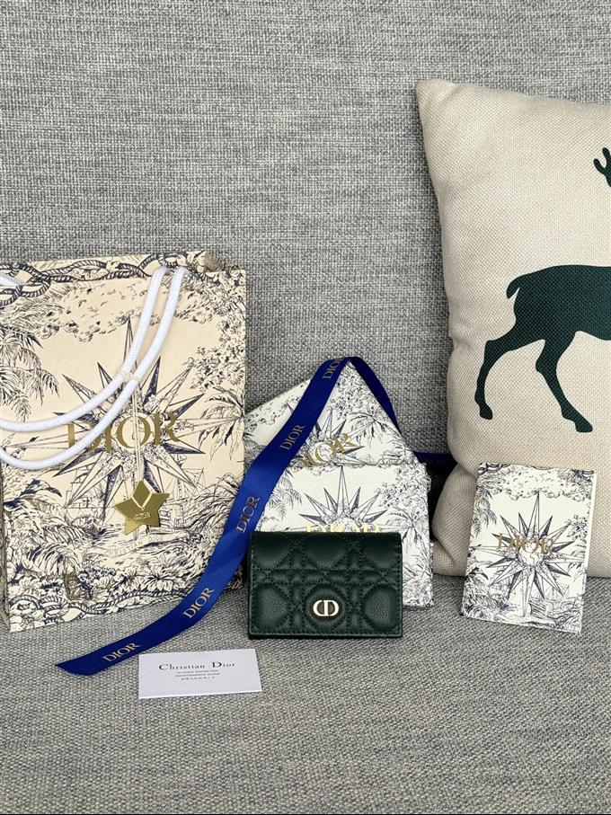 2025228Y240P20375954