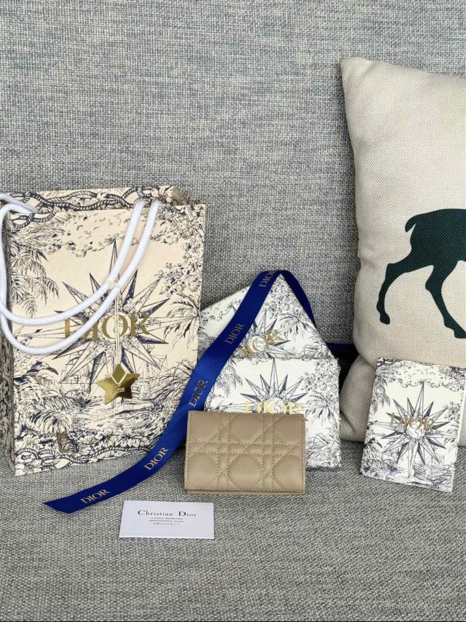 2025228Y240P20376253