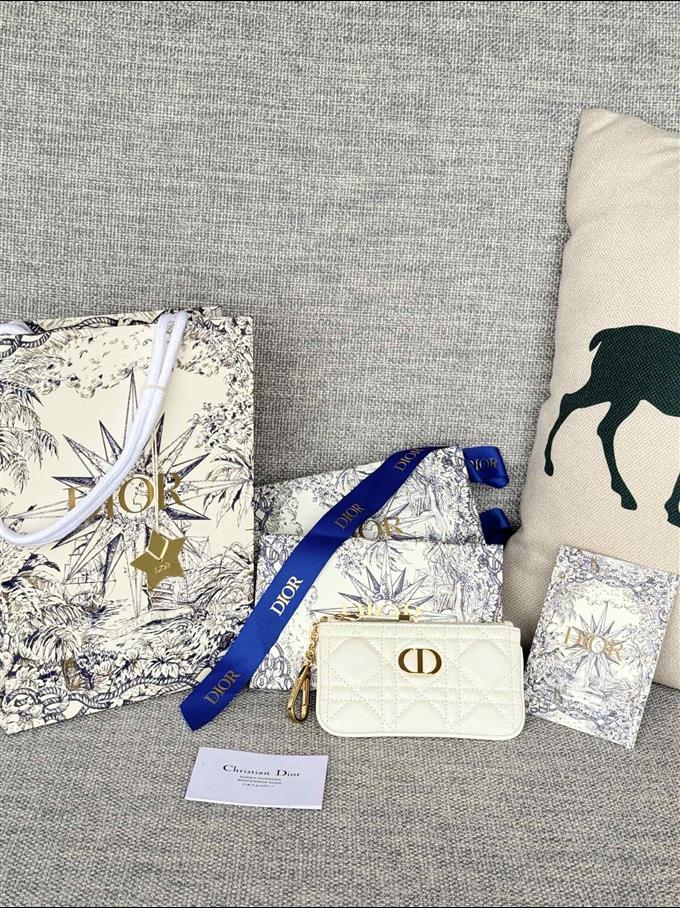 2025228Y250P182128491