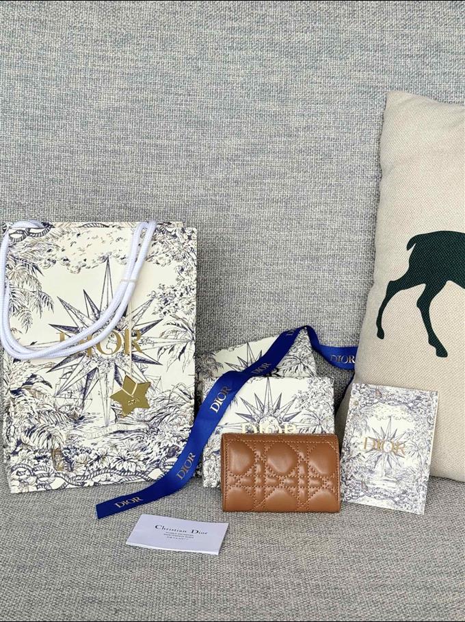 2025228Y250P182129515