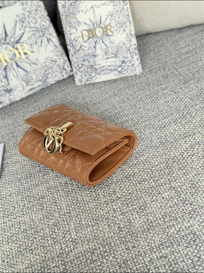 2025228Y250P182129530