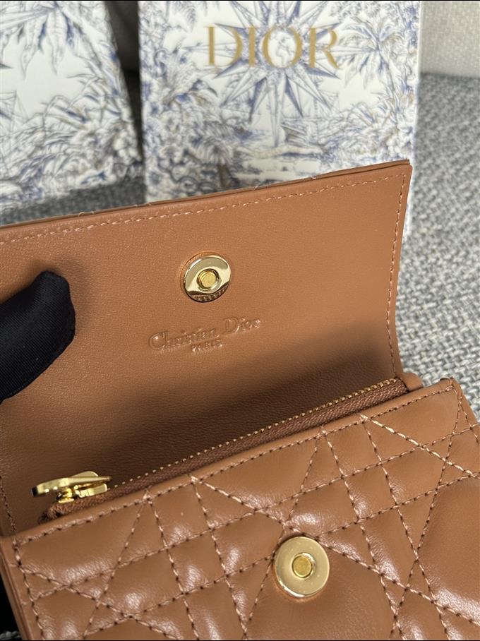 2025228Y250P182129577