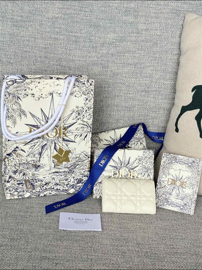 2025228Y250P182129656