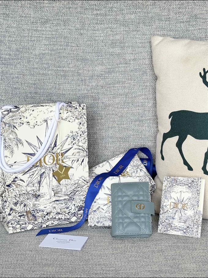 2025228Y250P203545579