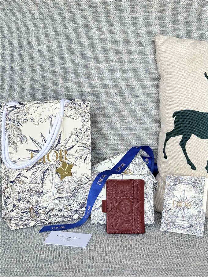 2025228Y250P203545736