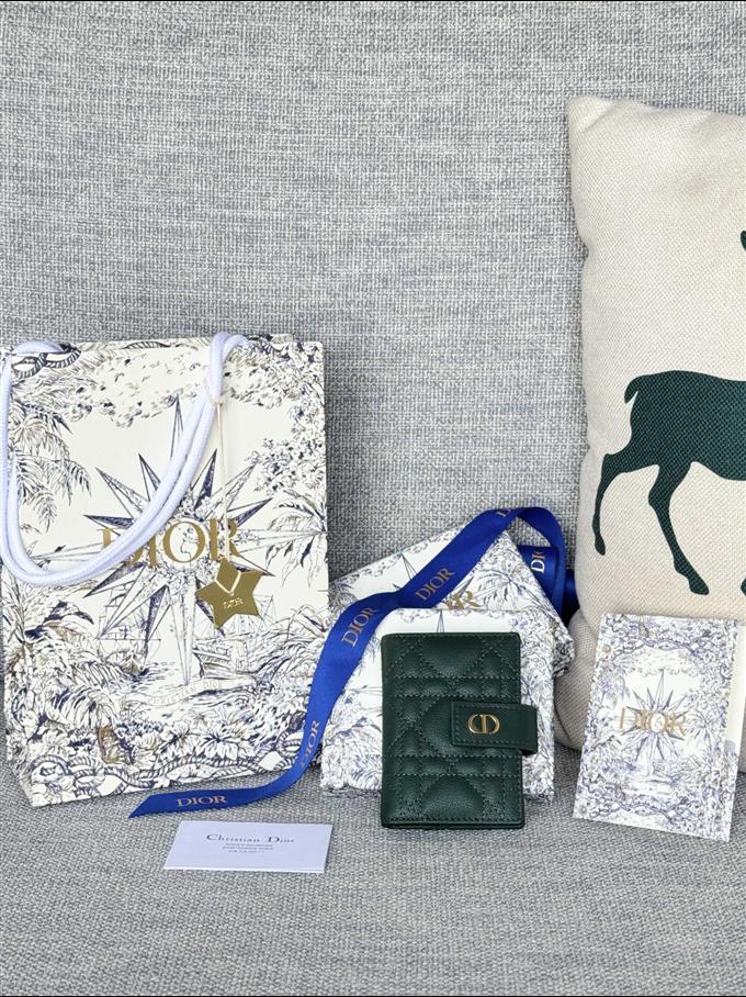 2025228Y250P203545861