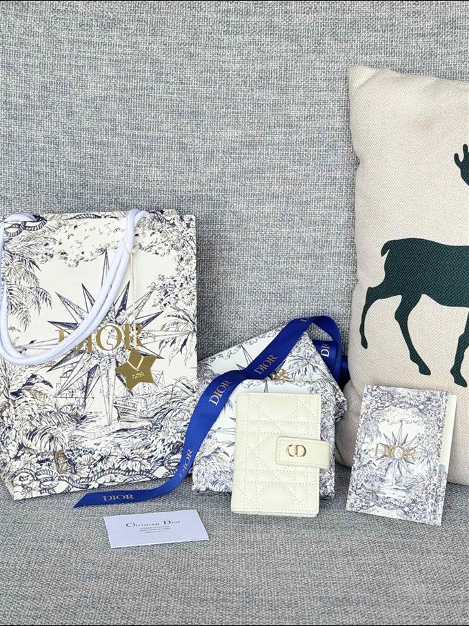 2025228Y250P203546141