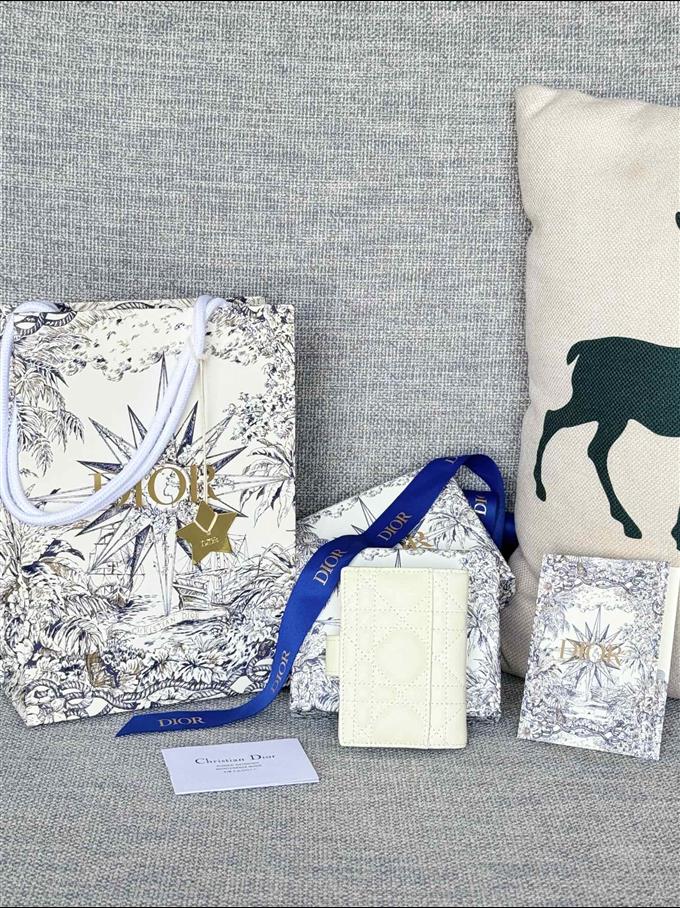 2025228Y250P203546156