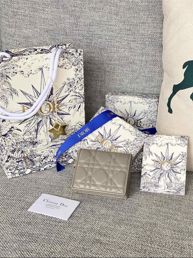 2025228Y310P203710207