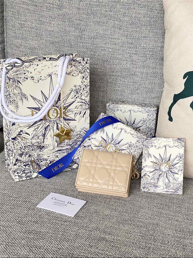 2025228Y310P203710504