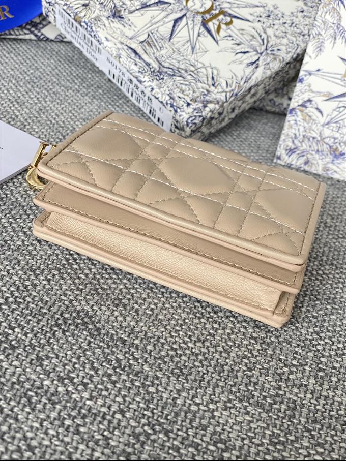 2025228Y310P203710520