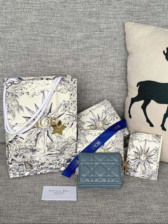 2025228Y310P20379374