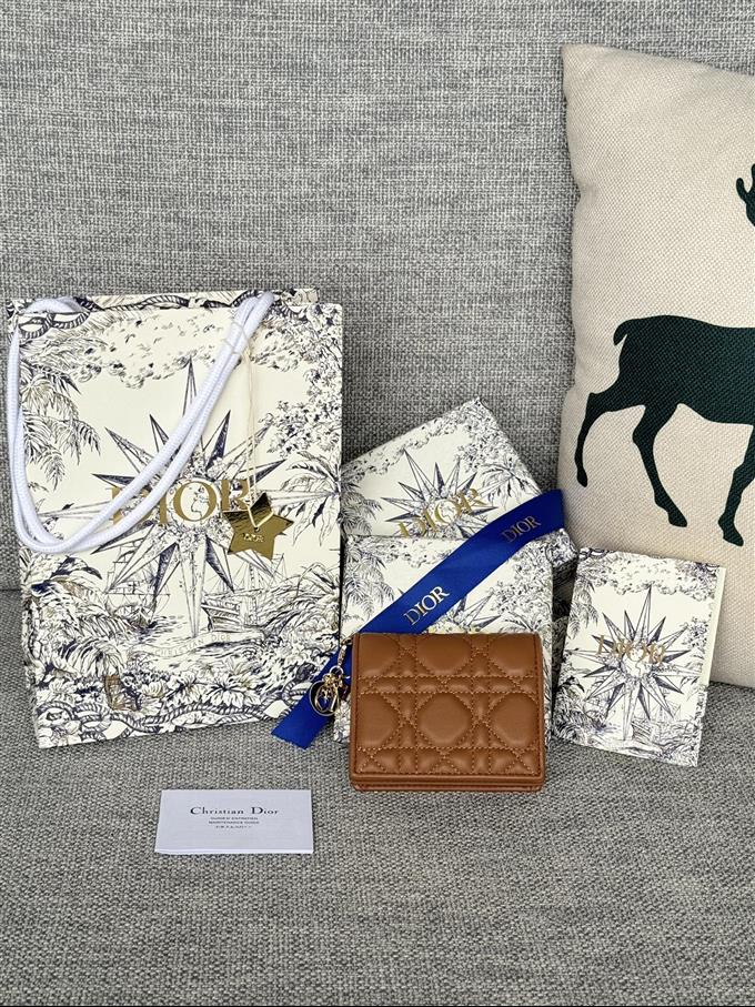 2025228Y310P20379500