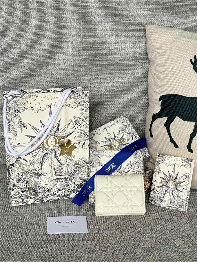 2025228Y310P20379658