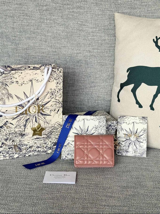 2025228Y310P20379801