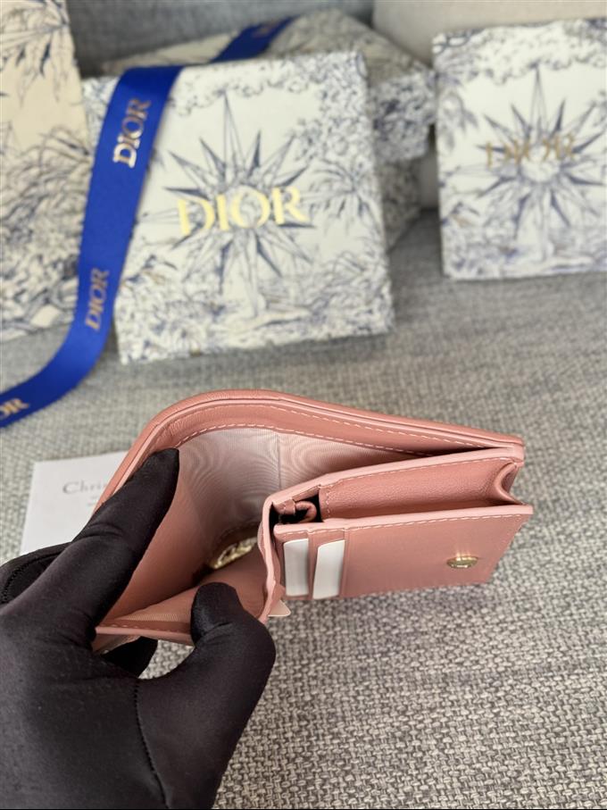 2025228Y310P20379895