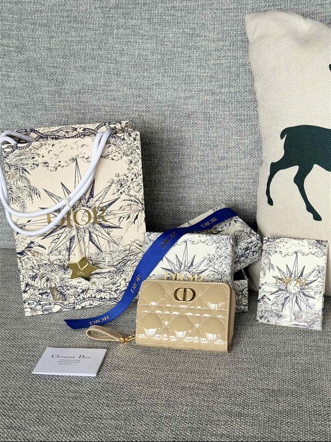 2025228Y330P203710773