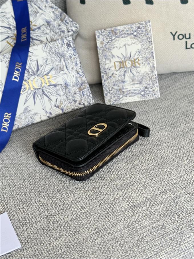 2025228Y330P203712646