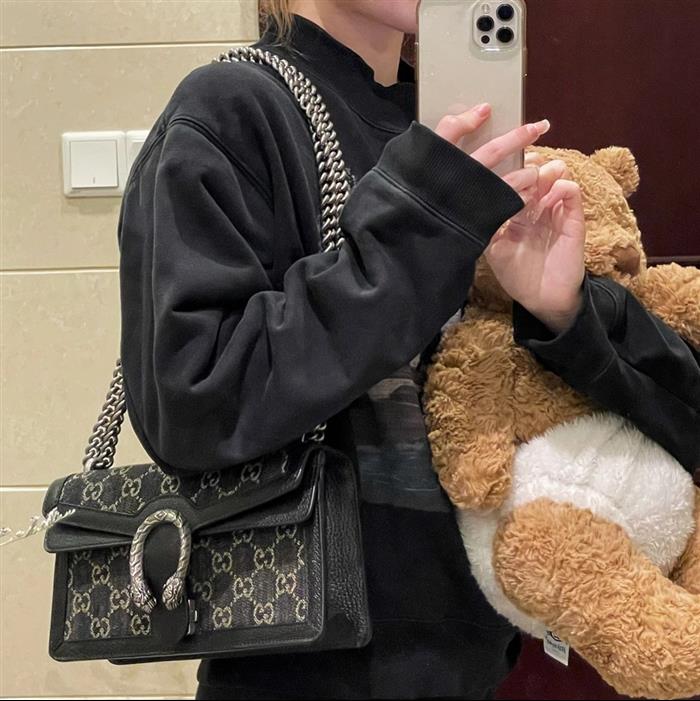 202529C499623N164044447