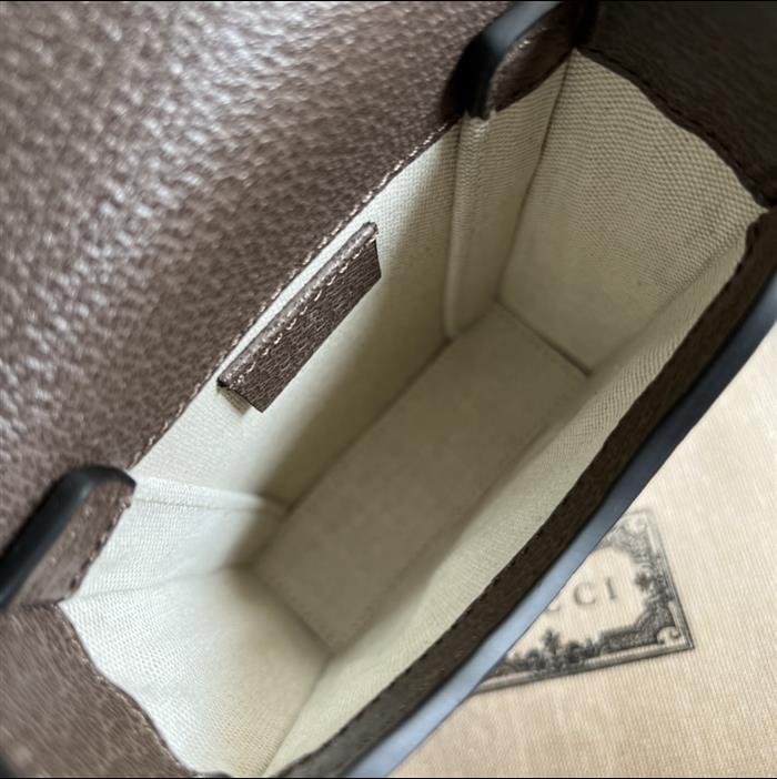 202529C625615N16412437