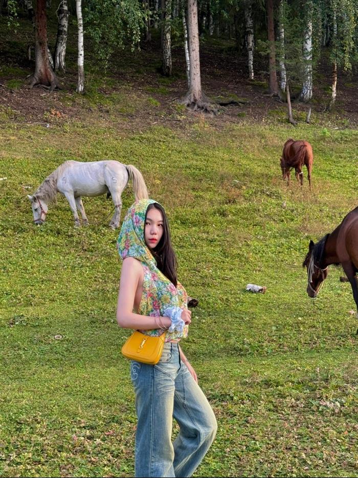 202529C637091N164113775