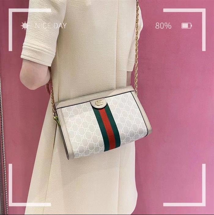 202529C503877N164028837