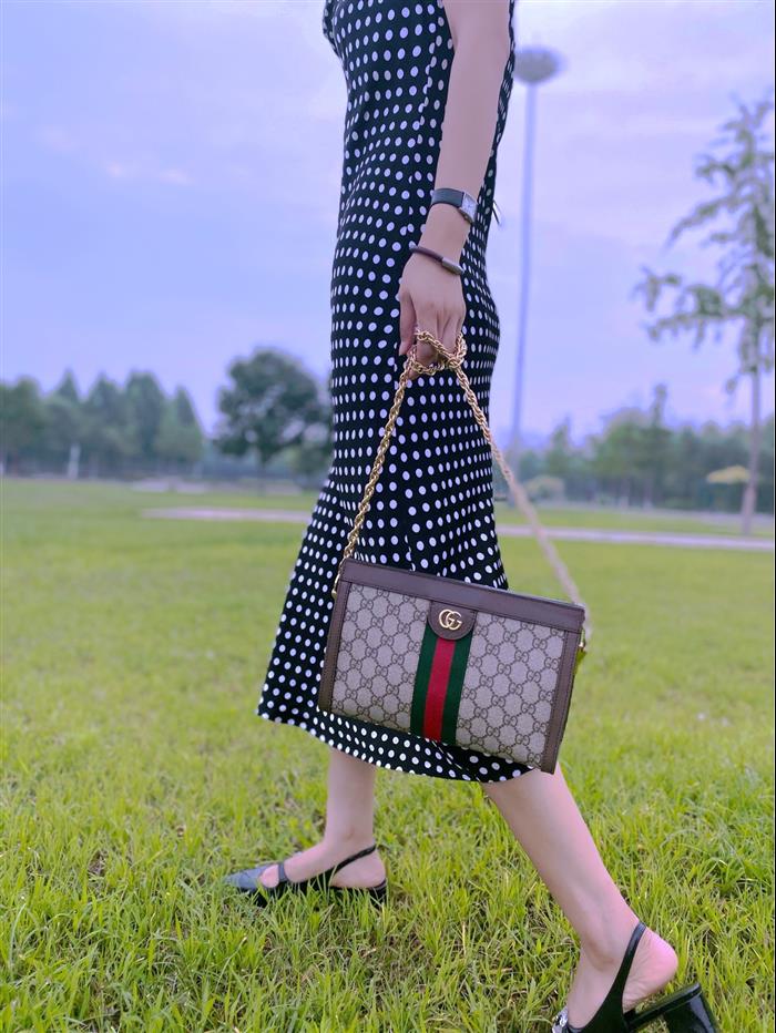 202529C503877N164028868