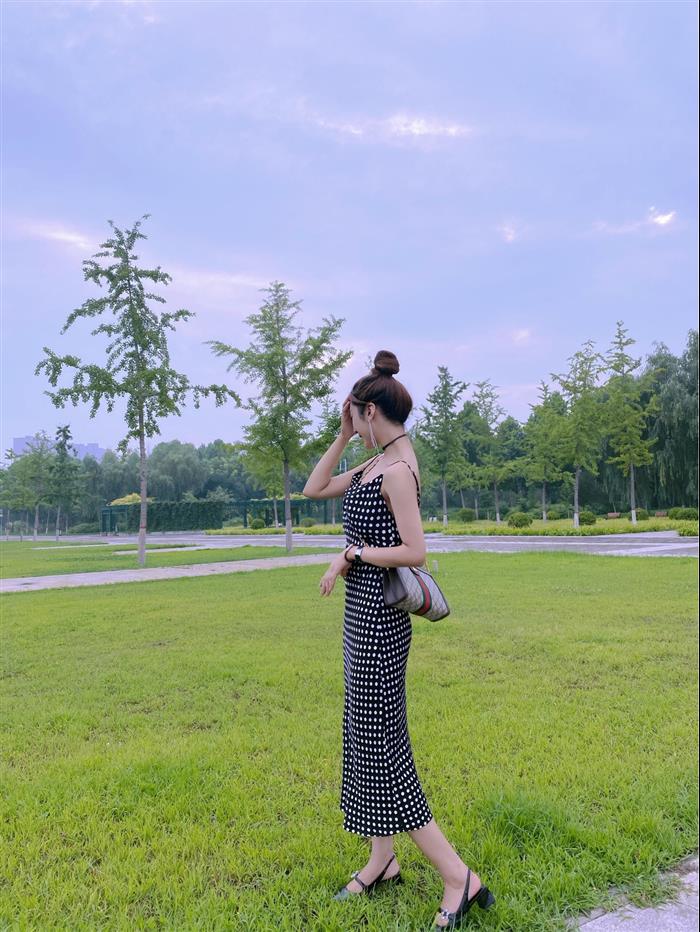 202529C503877N164028884