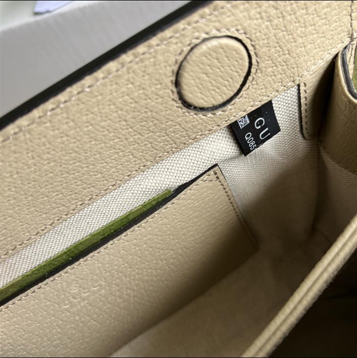 202529C503877N16402987