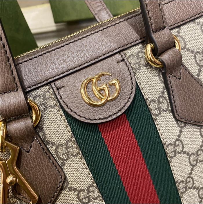 202529C547551N164032190