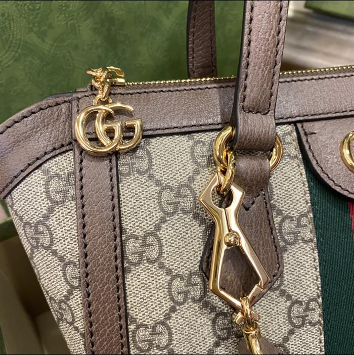 202529C547551N164032205