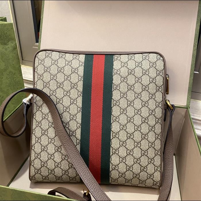 202529C547934N164032978