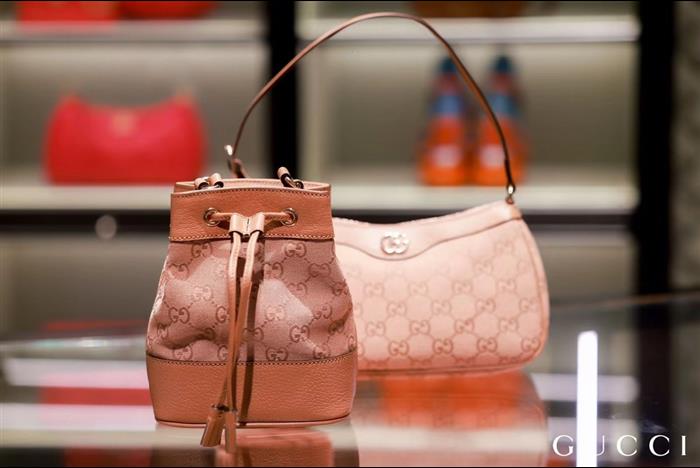 202529C550620N16403415