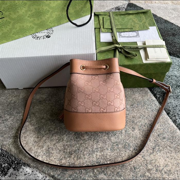 202529C550620N16403493