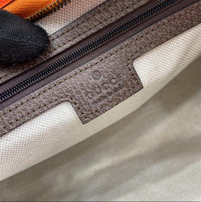 202529C598234N164036383