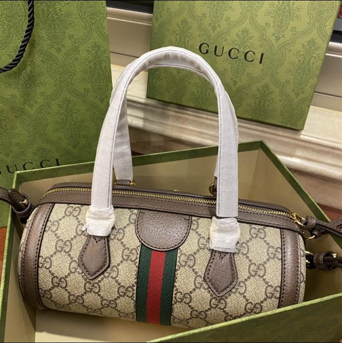 202529C602577N164036729