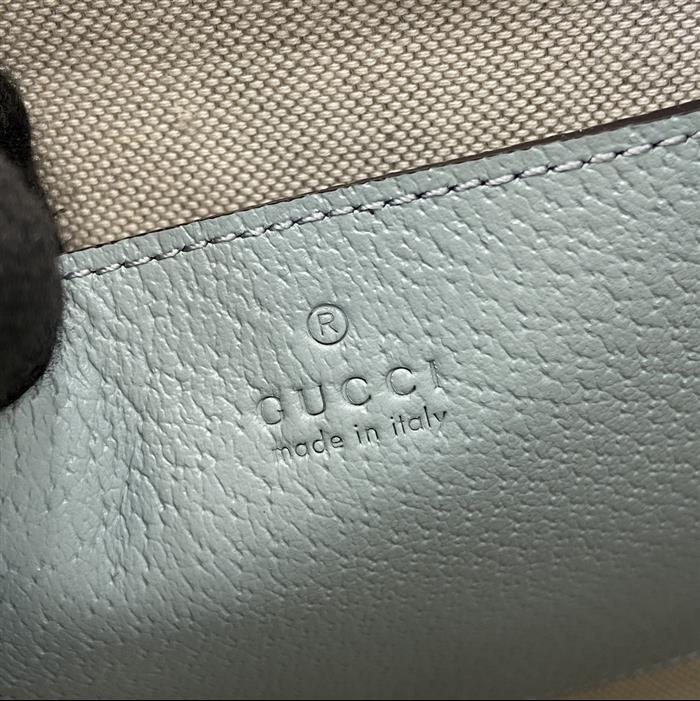 202529C625549N164037386