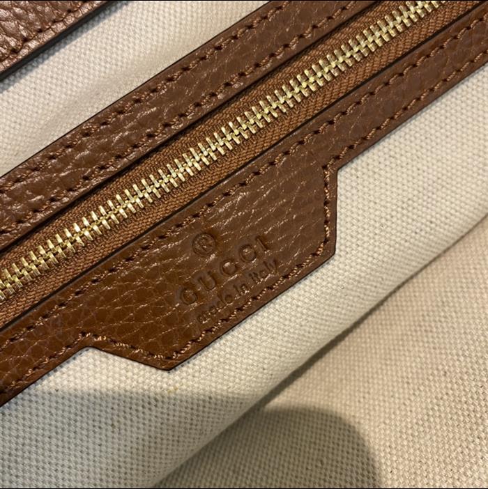 202529C631685N164038291