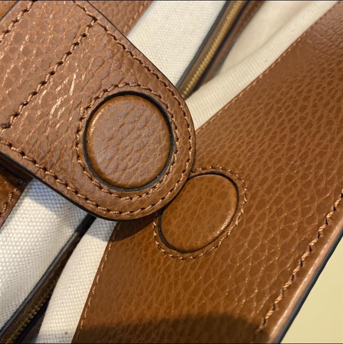 202529C631685N164038307