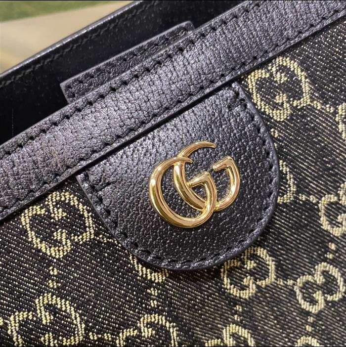 202529C631685N164038401