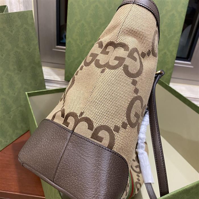 202529C631685N16403858