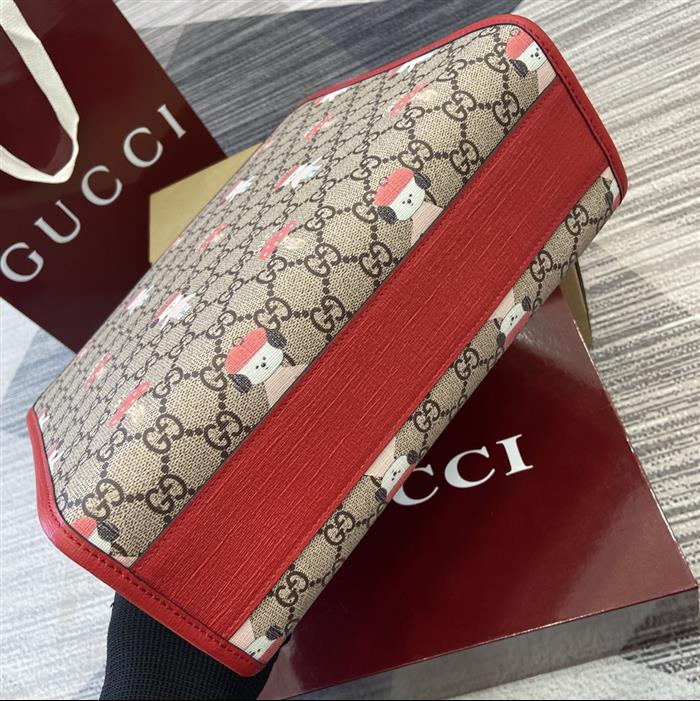 202529C605614N16415309