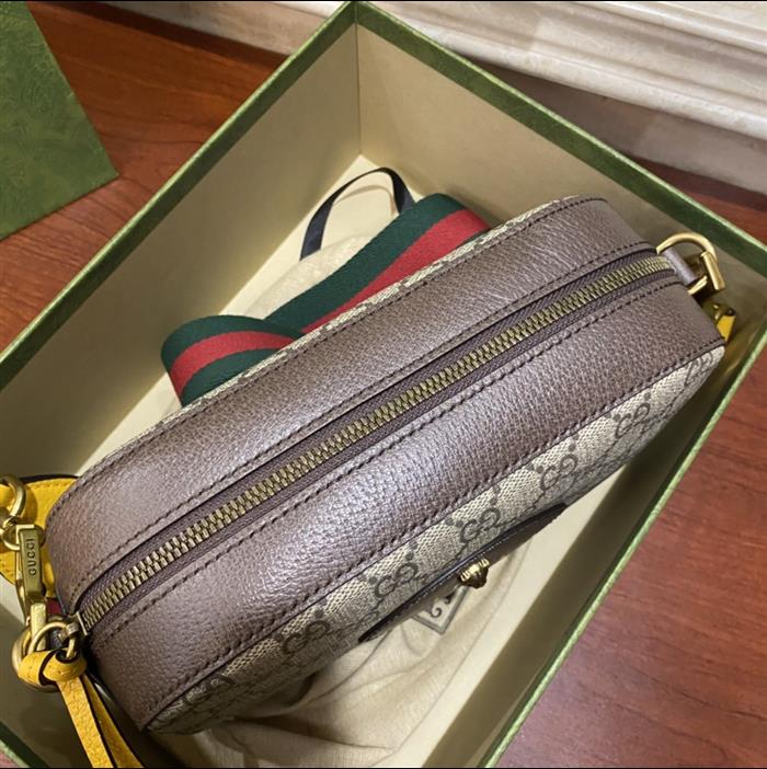 202529C476466N163423302