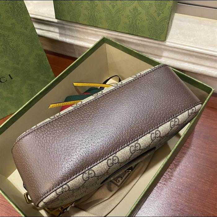 202529C476466N163423318