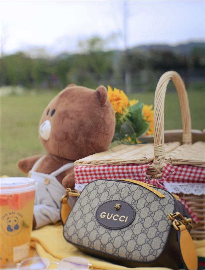 202529C476466N16342350